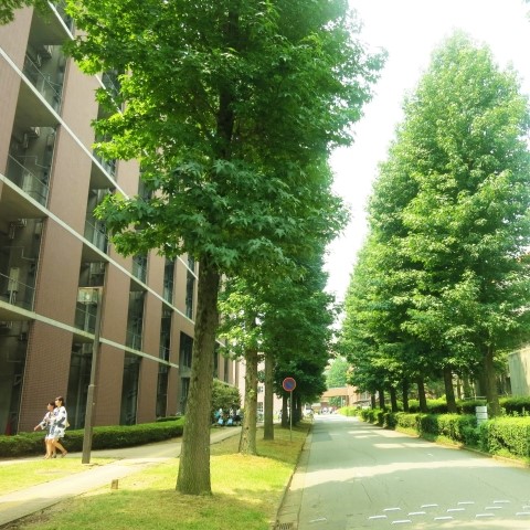 校章などサムネイル