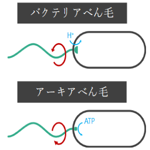 校章などサムネイル