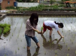 校章などサムネイル