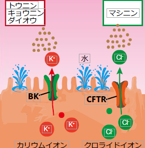校章などサムネイル