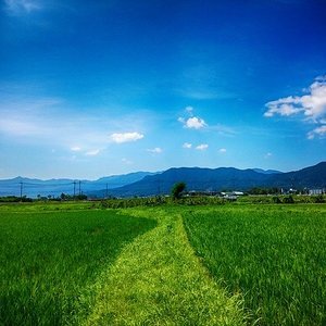校章などサムネイル