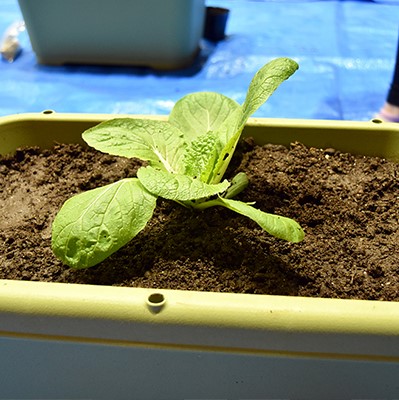 校章などサムネイル