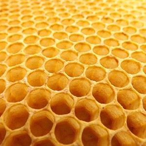 校章などサムネイル